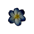 Blue Flower 2