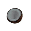 Coconut Sticker